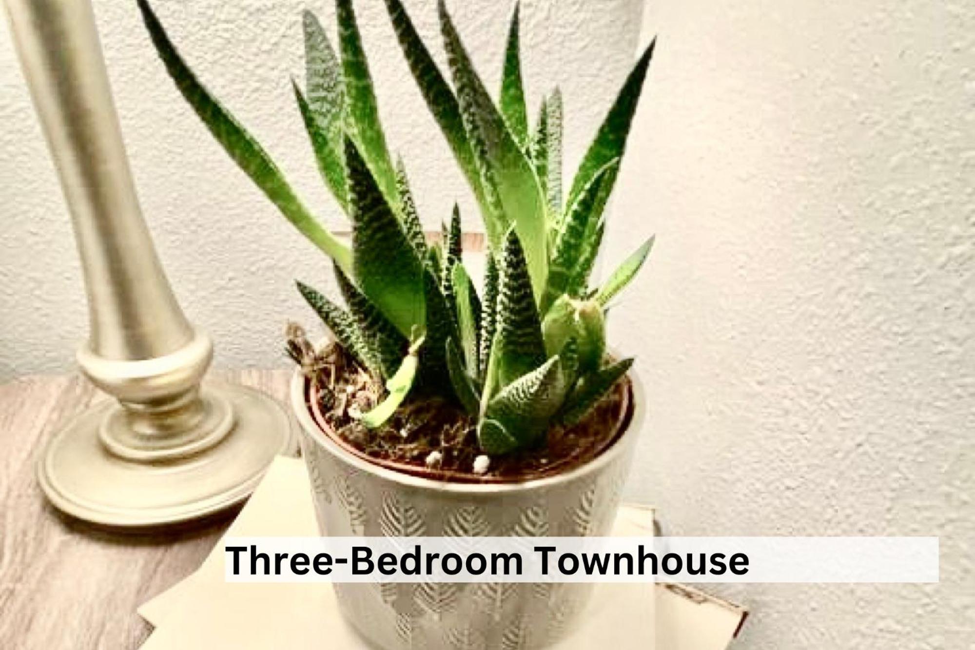 Boutique Apartment In Historic Downtown Albany Bagian luar foto